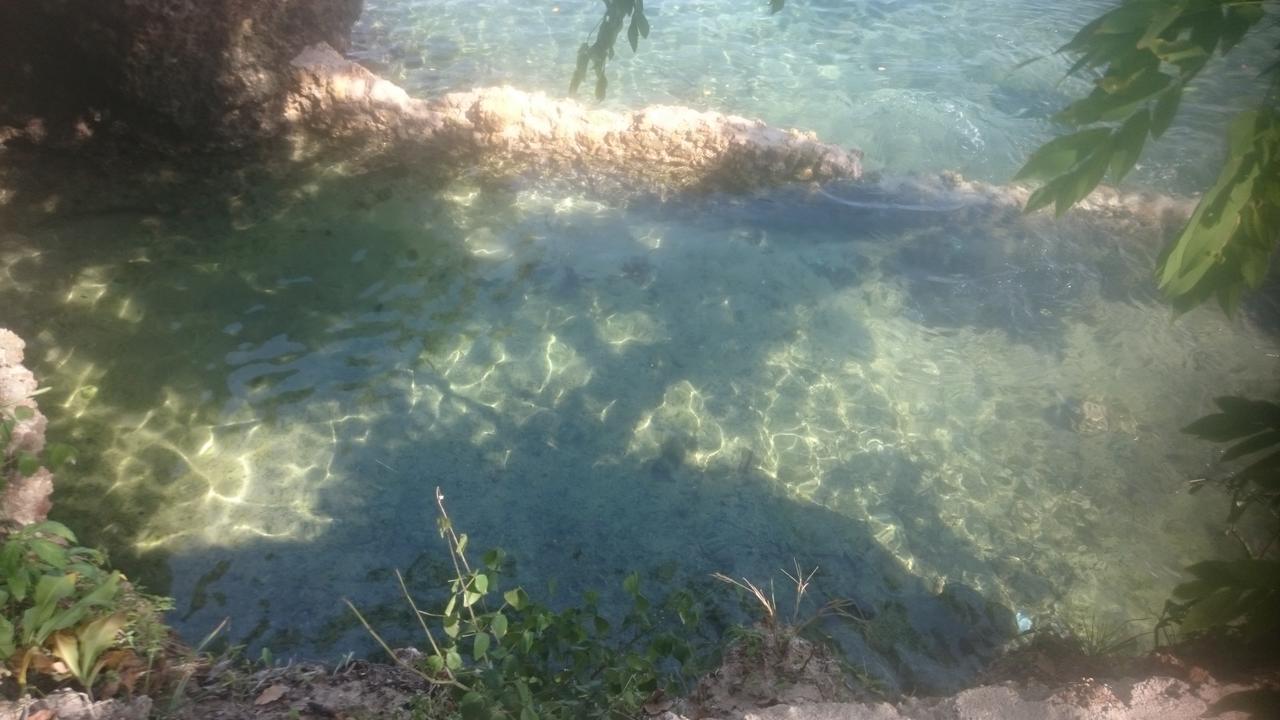 Wasini Island Bandas Luaran gambar